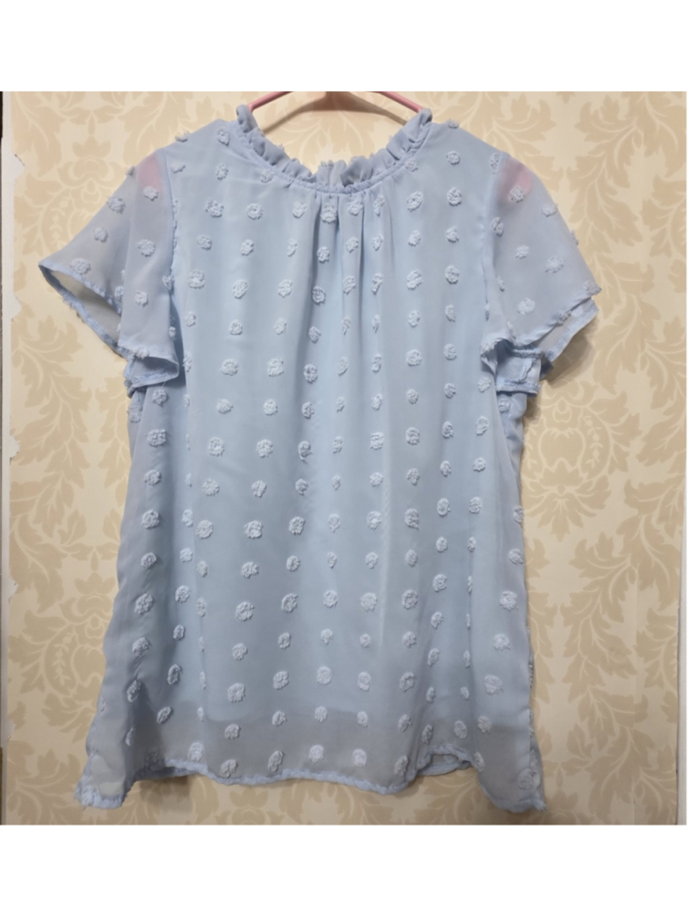 Baby Blue Swiss Dot Chiffon Blouse Romance Flutter Light Acedamia Sz M